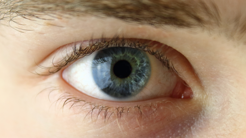10 Surprising Facts About the Human Eye You Never Knew
