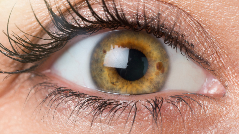 Amber Eyes: Facts about this rare gold eye color